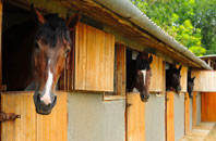 free Stackpole Elidor Or Cheriton stable construction quotes